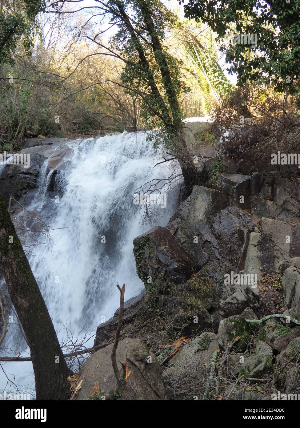 Vertical shot of a waterfall flowing down in the forest Stock Photo - Alamy