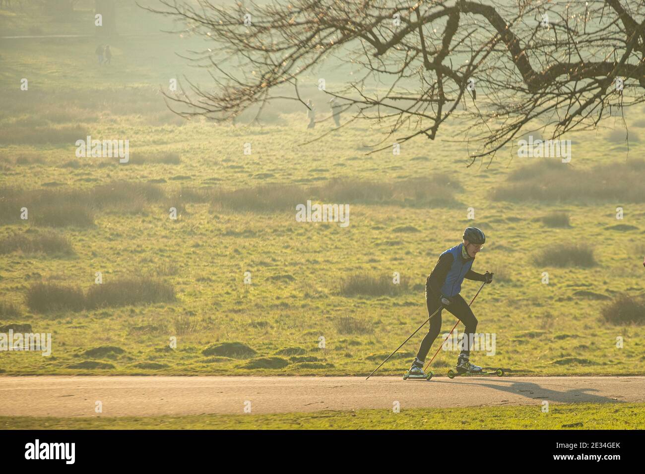 A man practices cross country skiing in Richmond Park in London during Coronavirus COVID 19 lockdown in 2021 Stock Photo