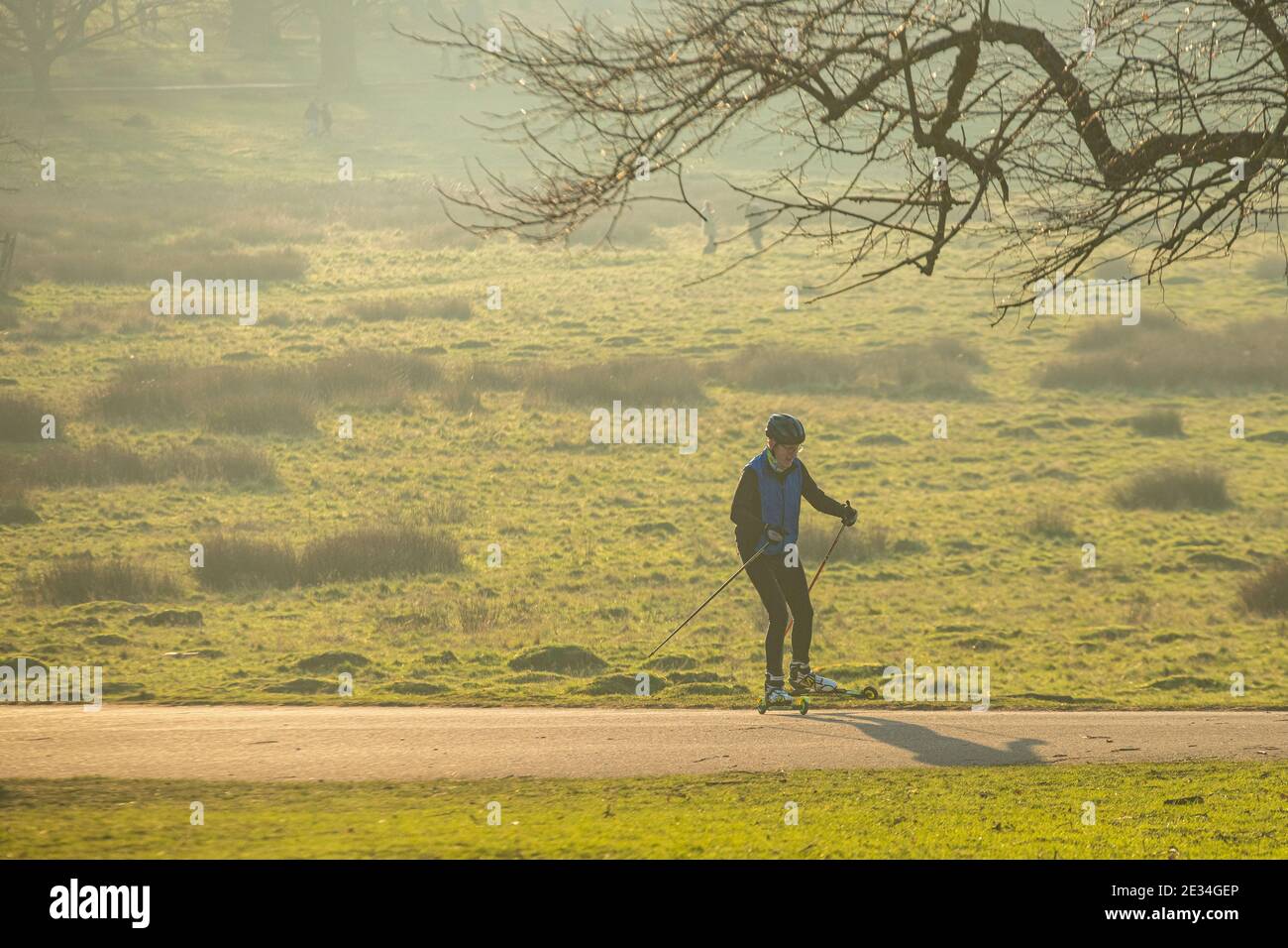 A man practices cross country skiing in Richmond Park in London during Coronavirus COVID 19 lockdown in 2021 Stock Photo