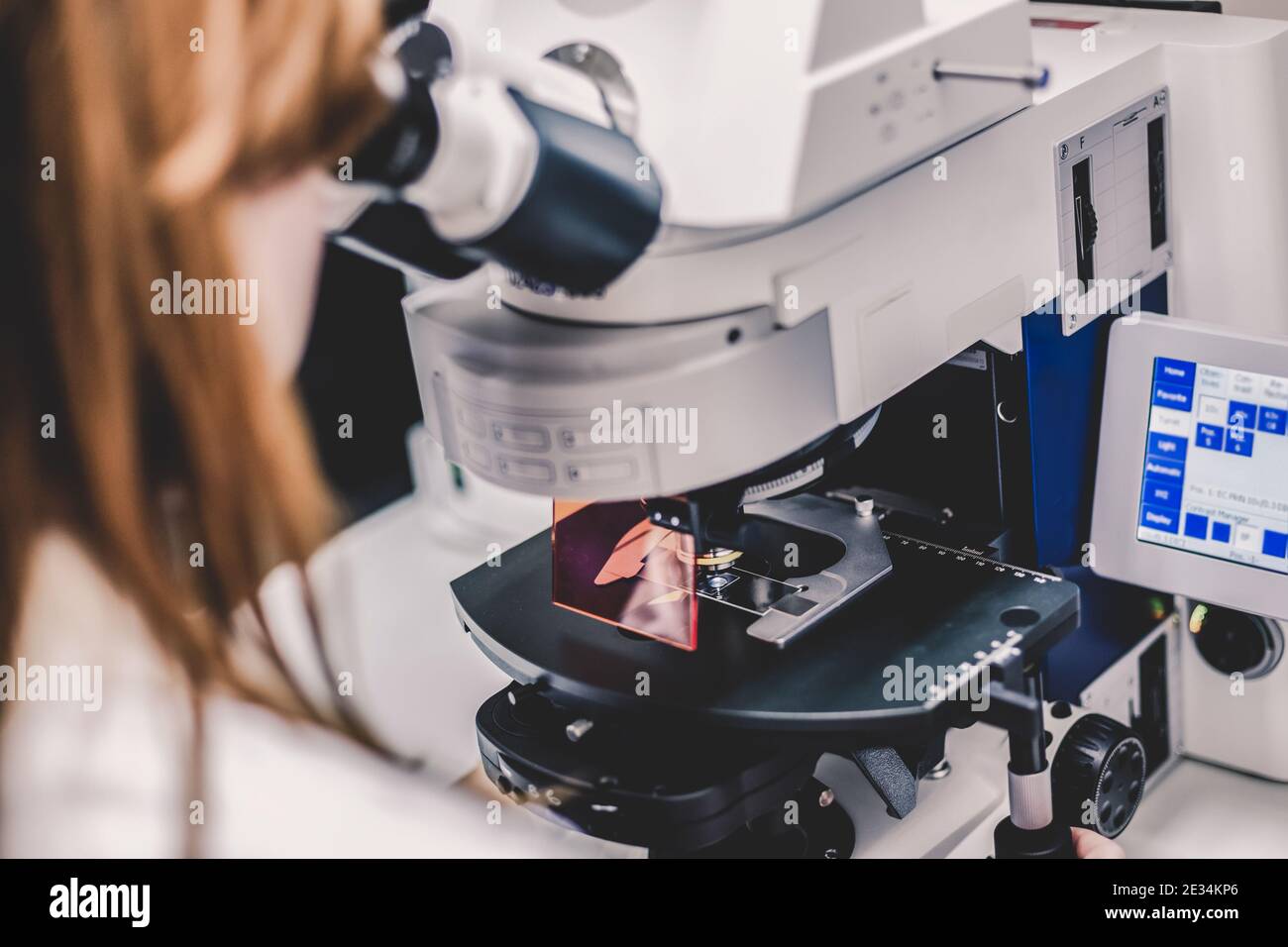 Helth care professional microscoping on hi-tec fluorescent microscope. Stock Photo