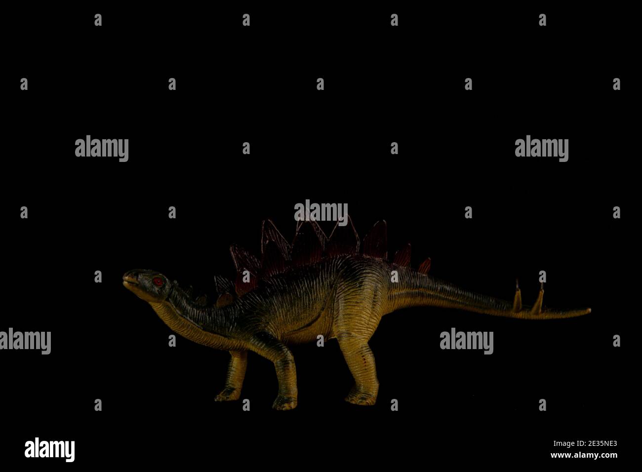 portrait of stegosaur - extinct dinosaur - isolated on black background. Image contains copy space Stock Photo