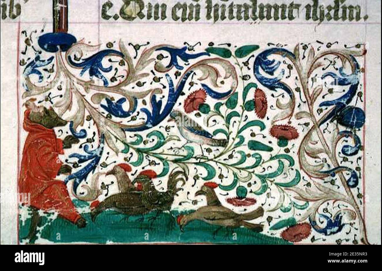 Lyon BML Ms 5124 fol 112v Renard prechant Stock Photo - Alamy