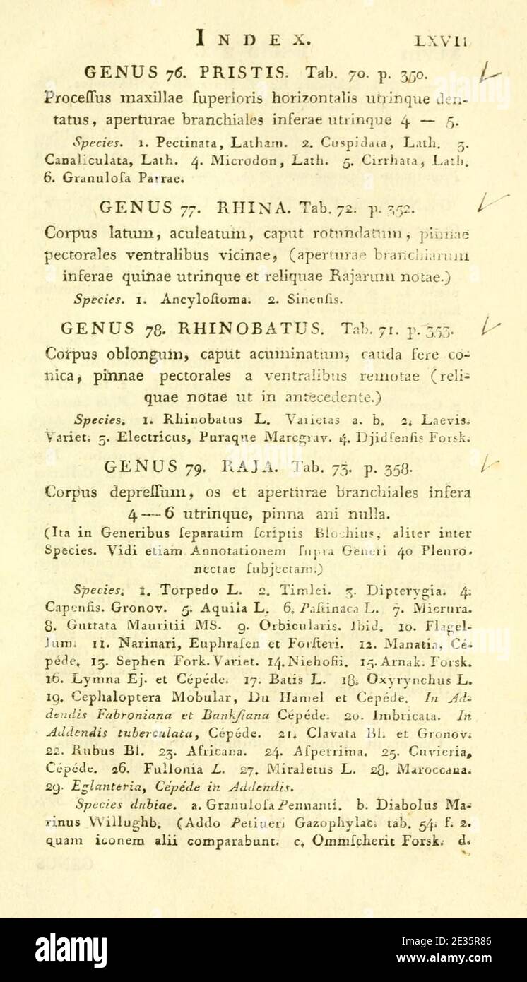 M.E. Blochii ... Systema ichthyologiae iconibus CX illustratum (Page xlvii) Stock Photo