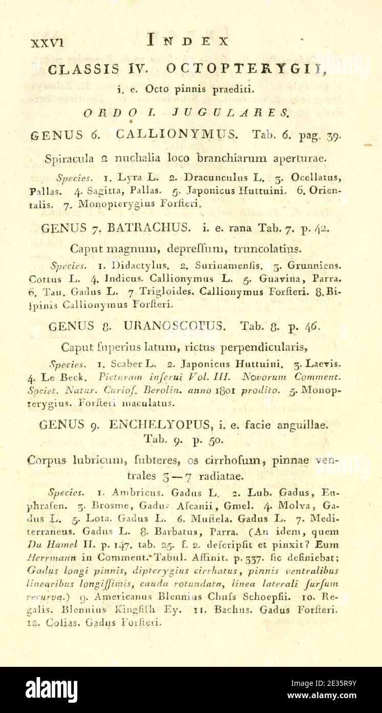 M.E. Blochii ... Systema ichthyologiae iconibus CX illustratum (Page xxvi) Stock Photo