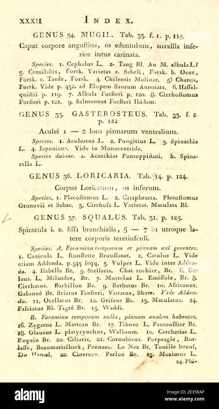 M.E. Blochii ... Systema ichthyologiae iconibus CX illustratum (Page xxxii) Stock Photo