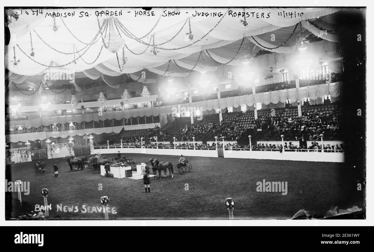 Madison Square Garden Horse Show 2025 Gennie Tuesday