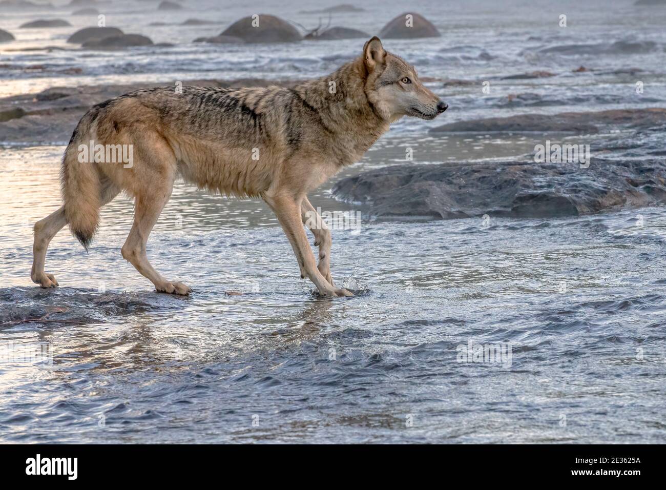 Mist splashing hi-res stock photography and images - Alamy