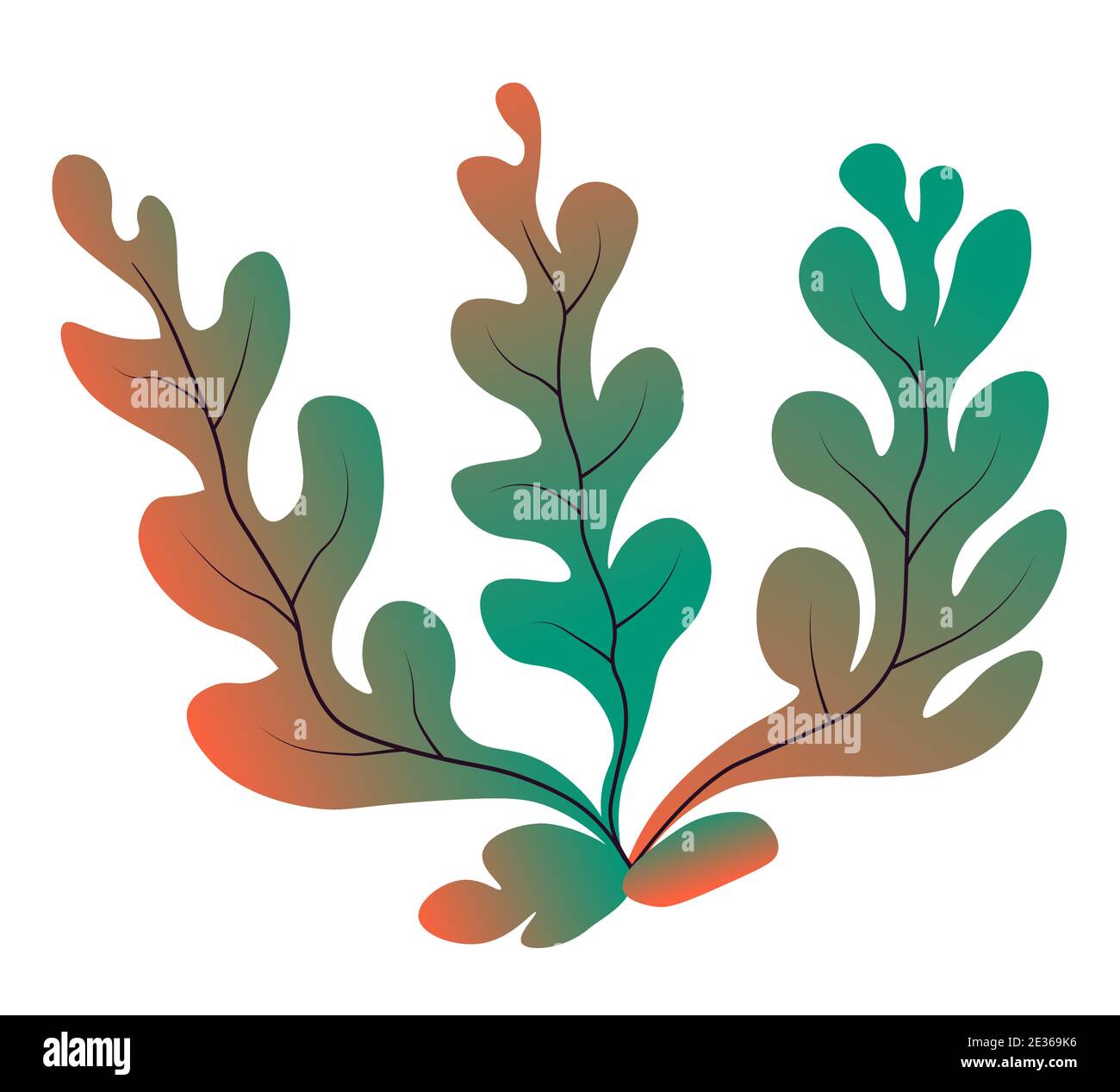 Marine botany and seaweed, decor for aquarium Stock Vector Image & Art -  Alamy