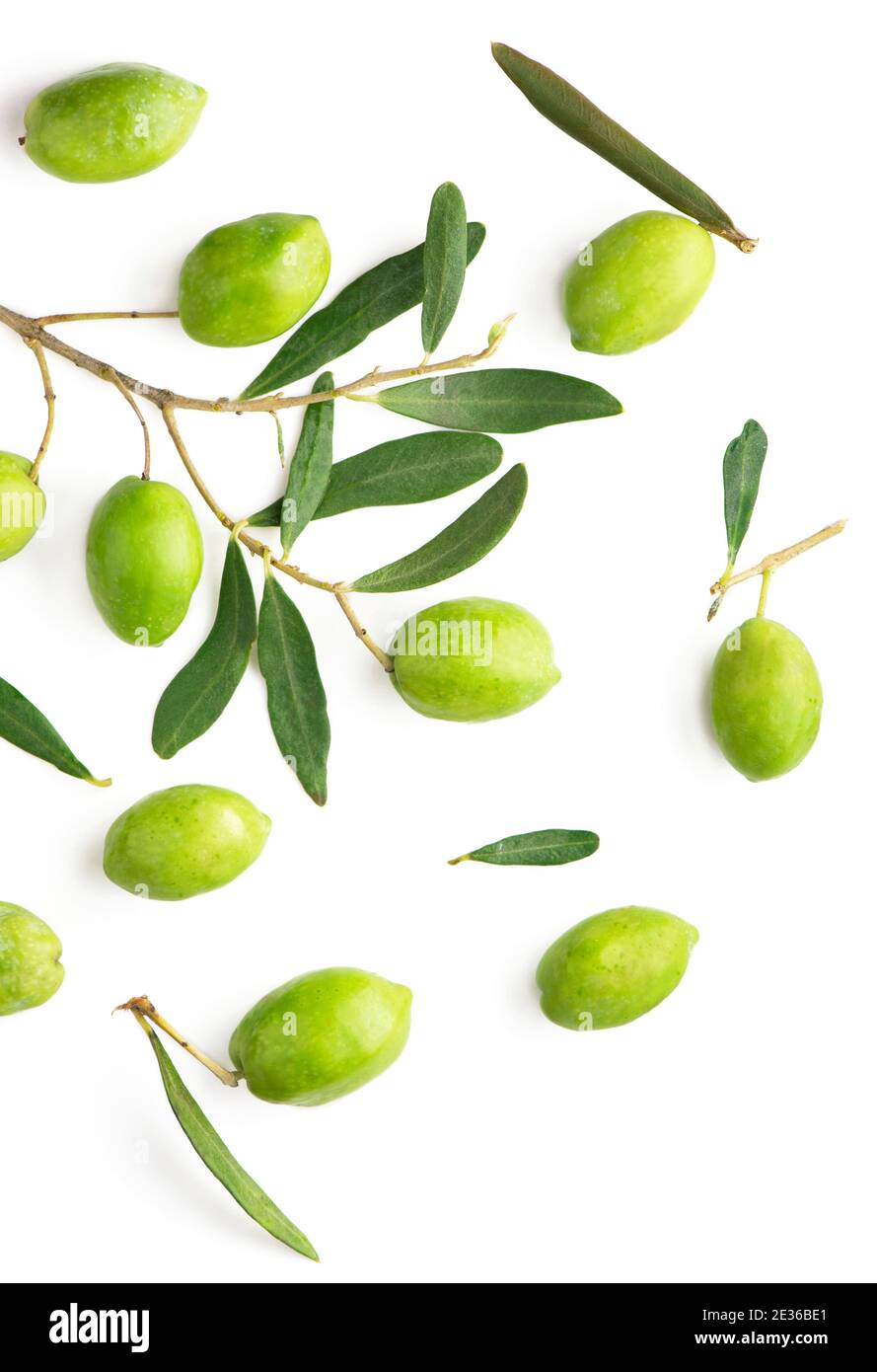 Olive fruit and olive leaves on a white background Stock Photo Alamy