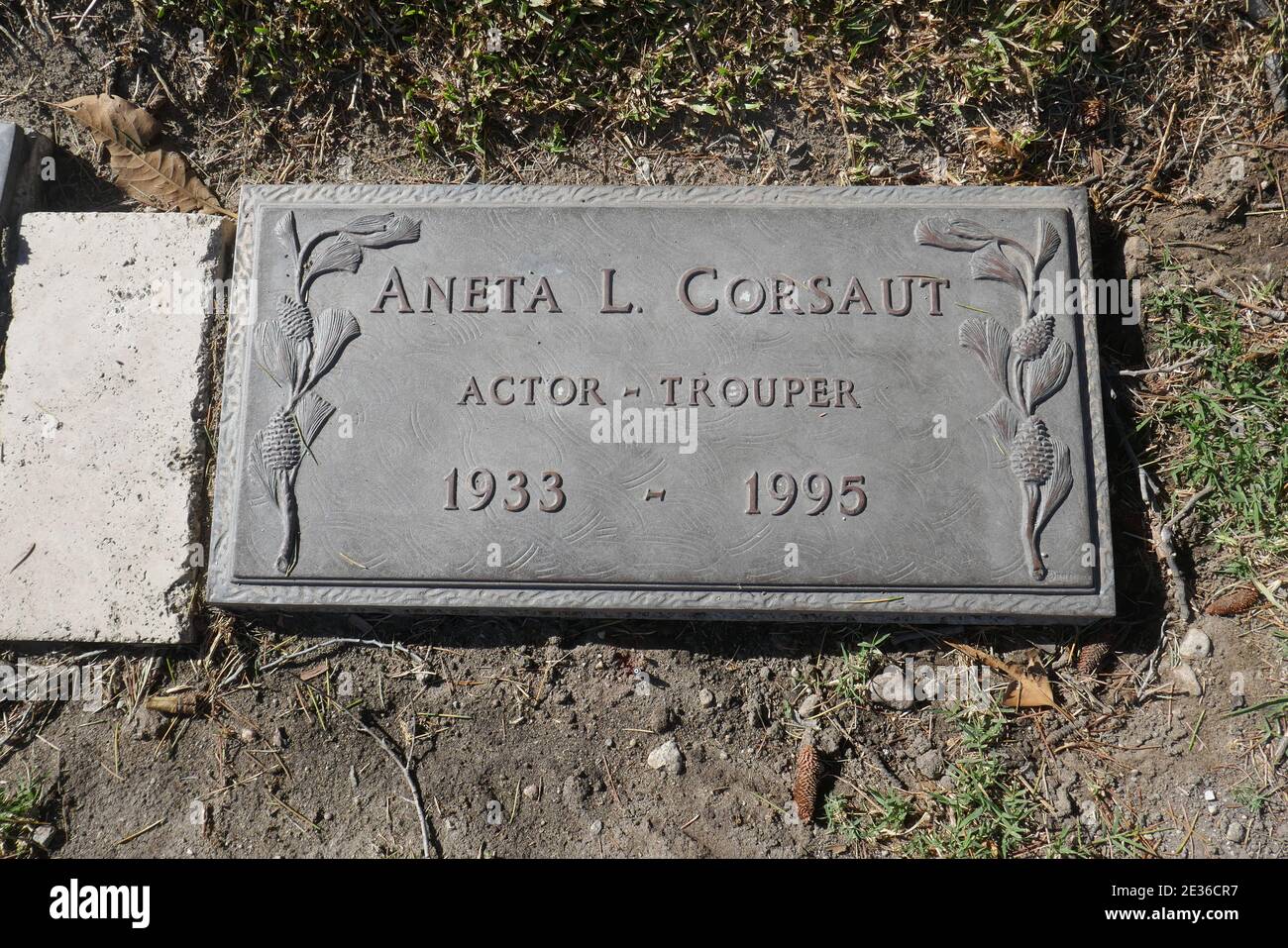 Aneta corsaut hi-res stock photography and images - Alamy