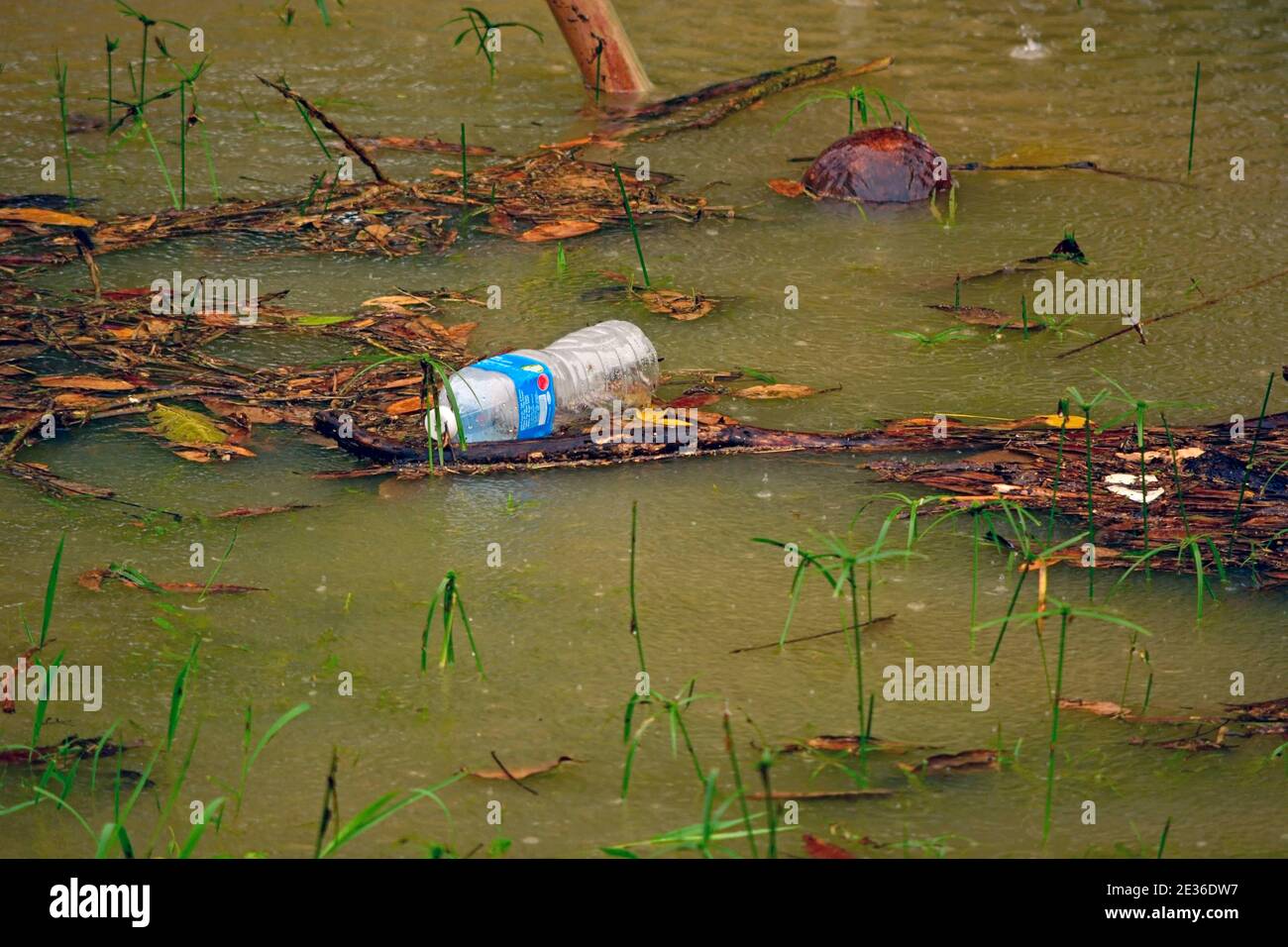 An empty plastic bottle floats on the water during a flood Stock Photo