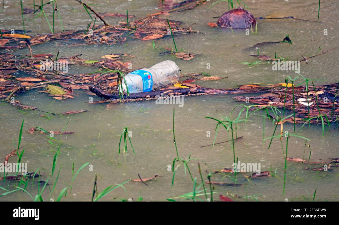An empty plastic bottle floats on the water during a flood Stock Photo