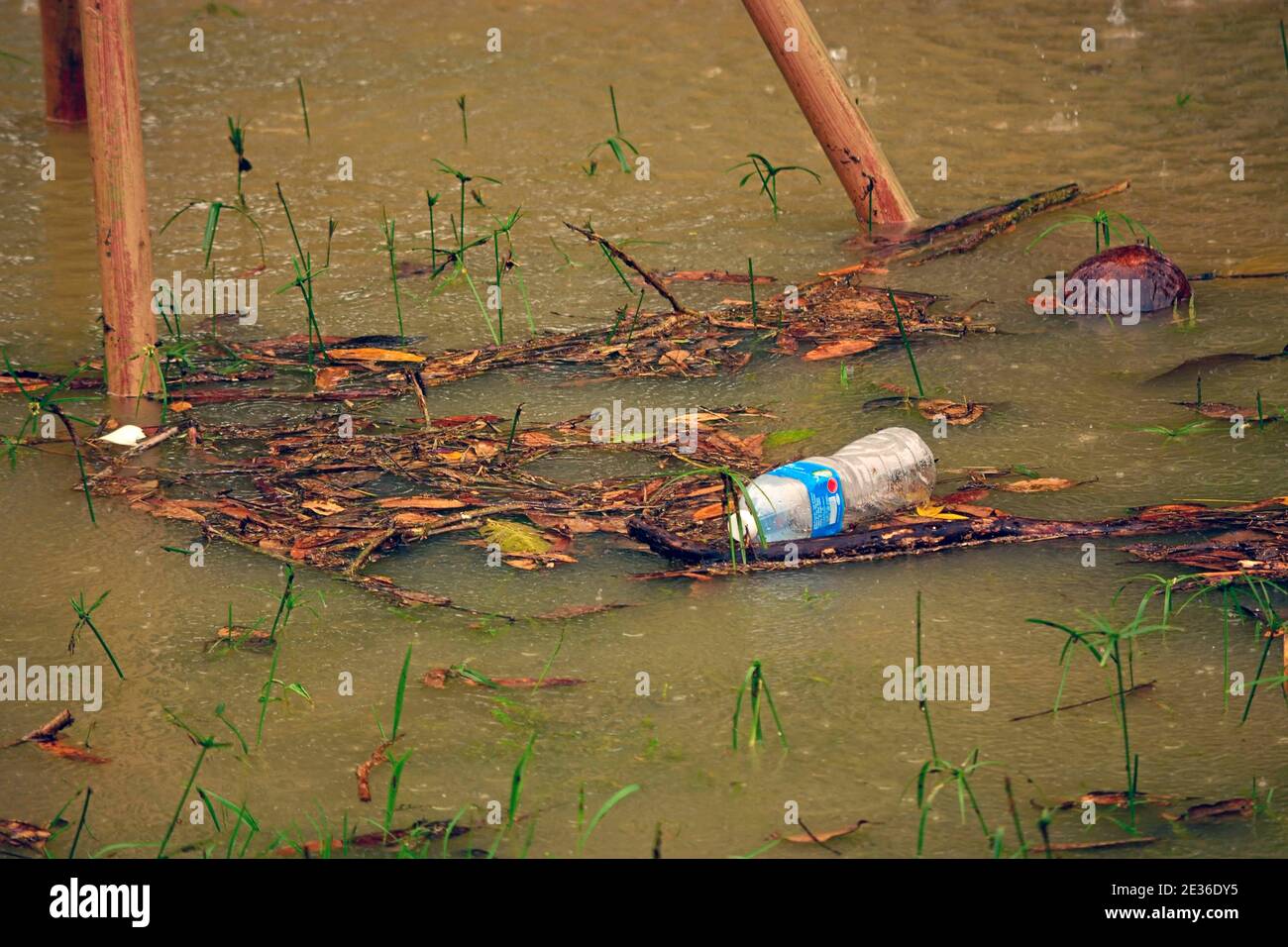 An empty plastic bottle dinks floats on the water during a flood. Very
