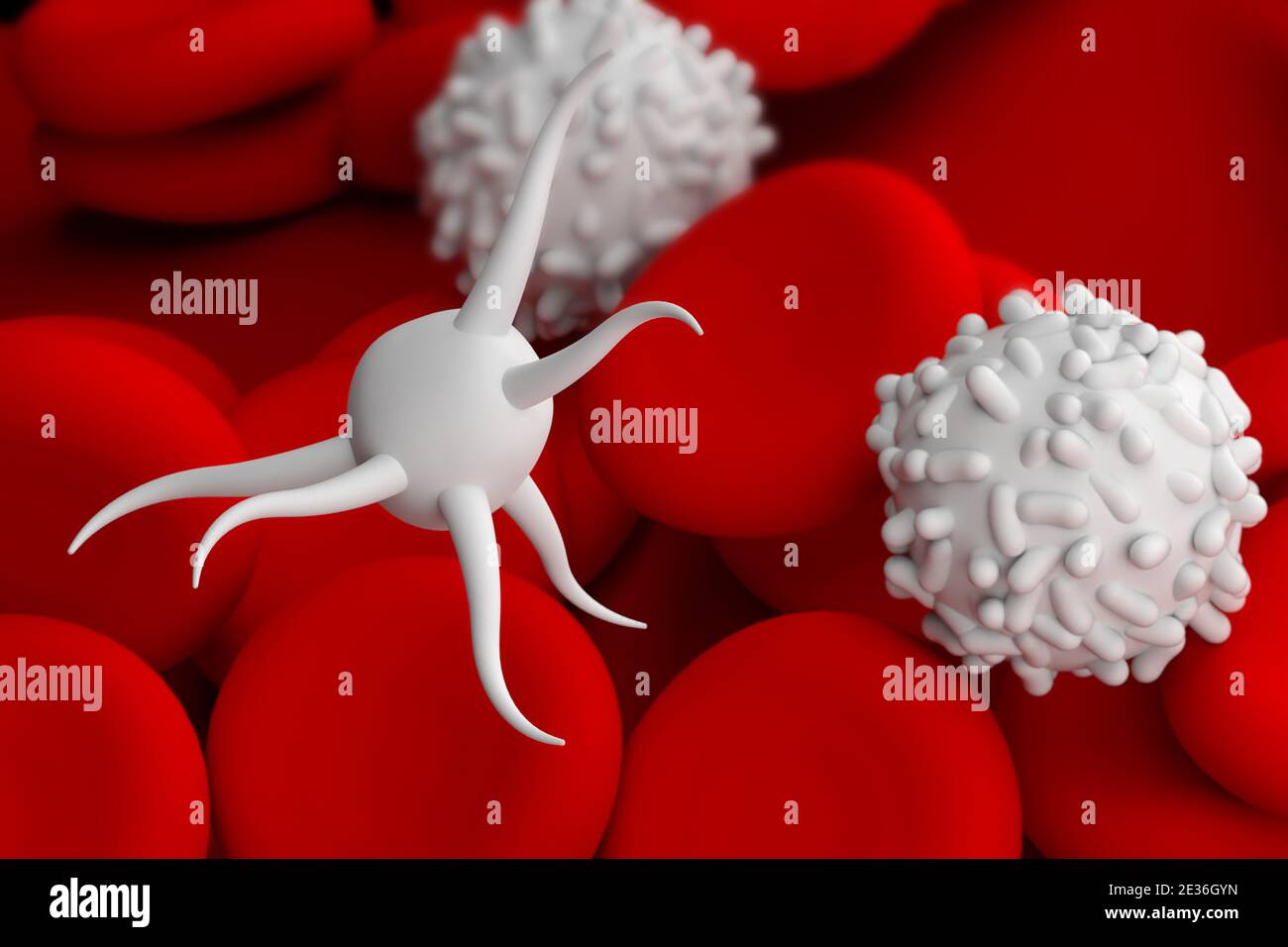 platelet thrombocyte with red and white blood cells 3d illustration close-up Stock Photo