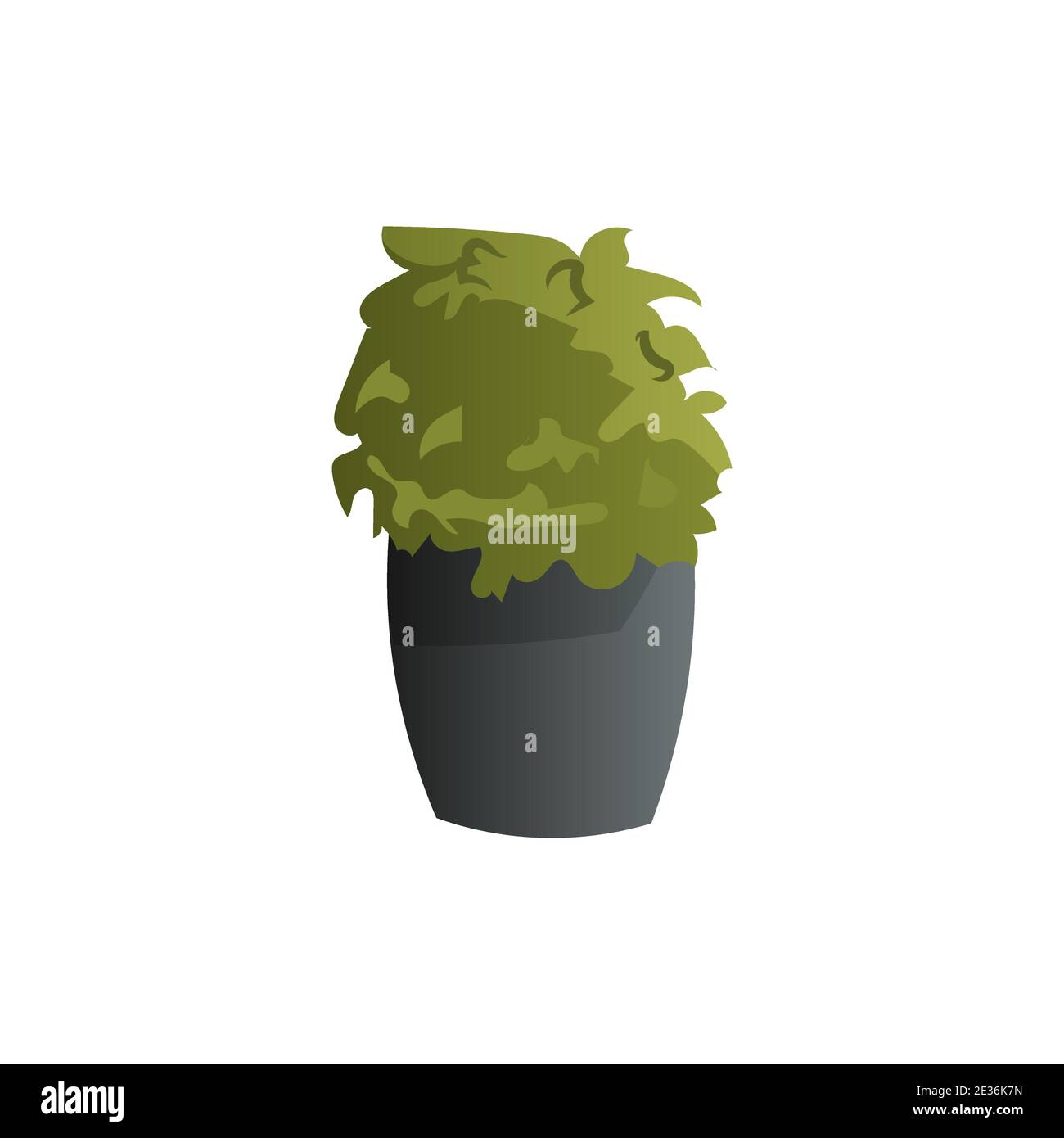 potted plant isolated on white background vector illustration Stock ...