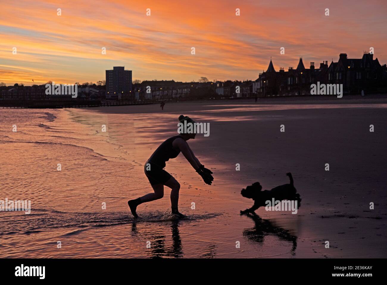 Portobello, Edinburgh, Scotland, UK. 17th January 2021. Stunning sunrise to greet those who visit the beach at dawn with temperature of 4 degrees centigrade at the seaside on the shore of the Firth of Forth. Pictured: spontaneous moment when one regular female cold water swimmer is greeted by her excited dog as she leaves the water. Renzo  has been the mascot dog   accompanying the  “ January Dookers “ every single morning as they swim to raise money for the charity SAMH (Scottish association for Mental health). Credit: Arch White/Alamy Live News. Stock Photo