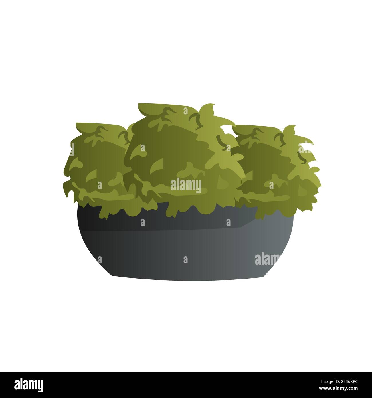 potted plant isolated on white background vector illustration Stock ...