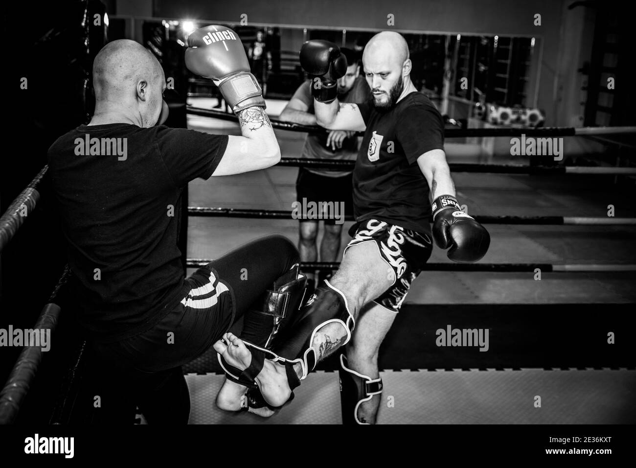 Two men boxers boxing Black and White Stock Photos & Images - Alamy