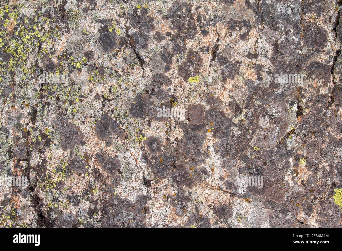 The texture of the stone is covered with green lichen. The surface of an old stone. Stock Photo