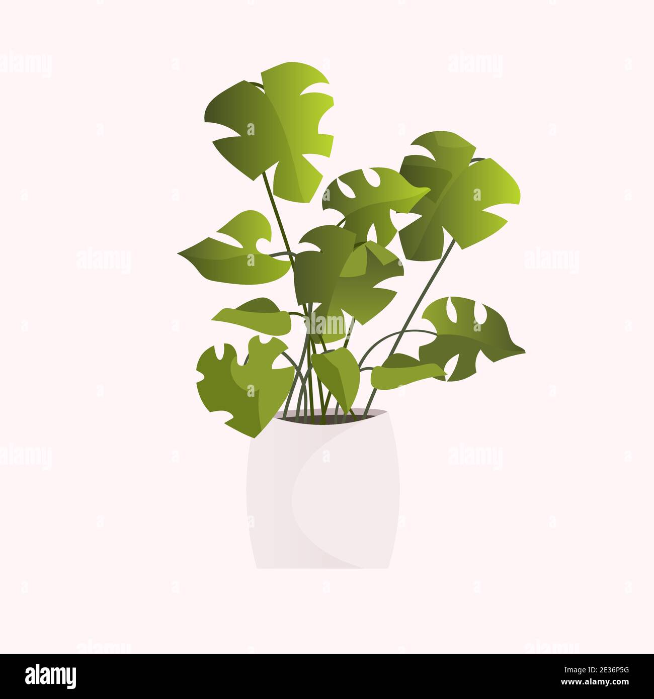 potted plant isolated on white background vector illustration Stock ...