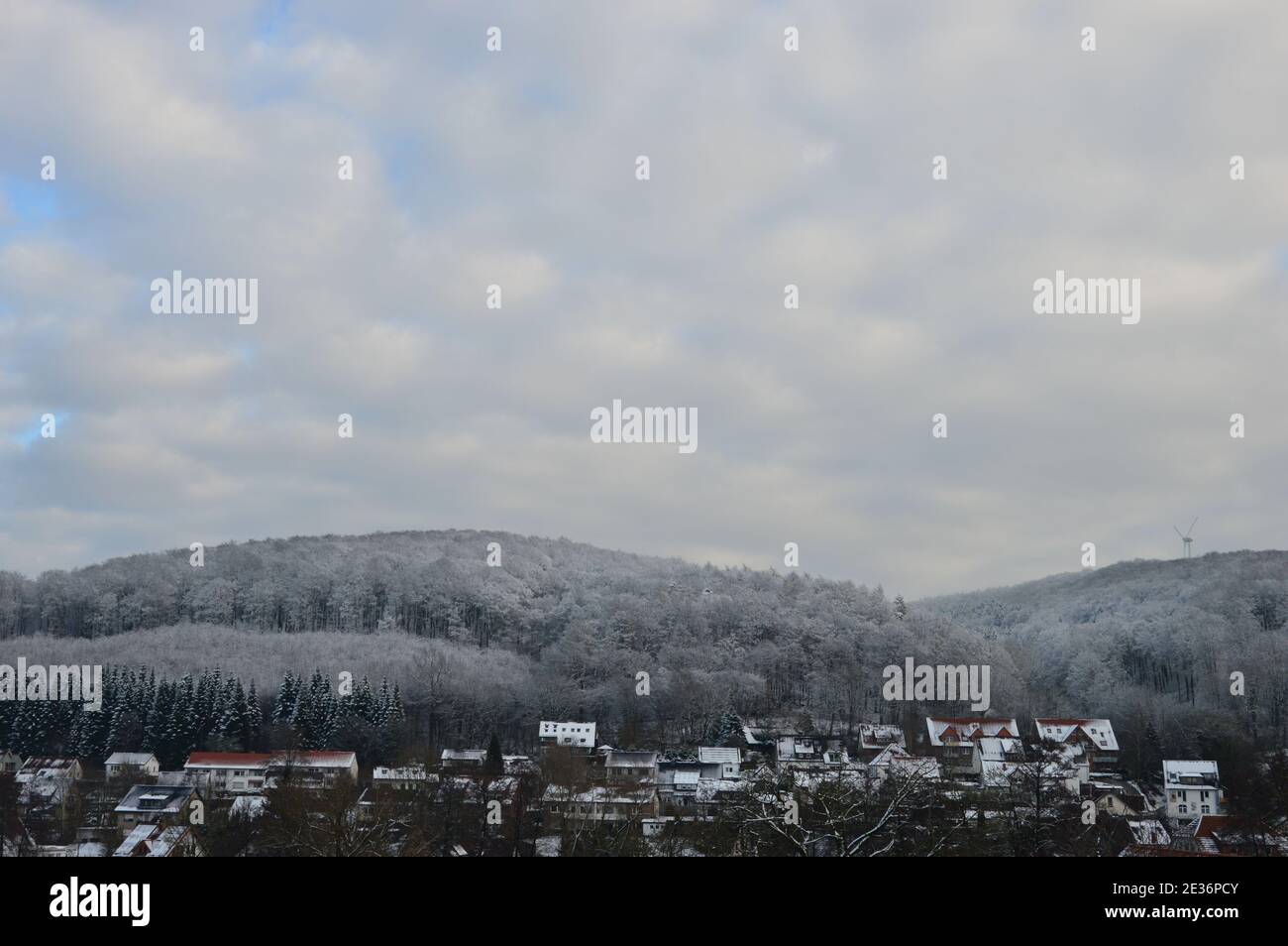 Winter in the teutoburg forest hi-res stock photography and images - Alamy