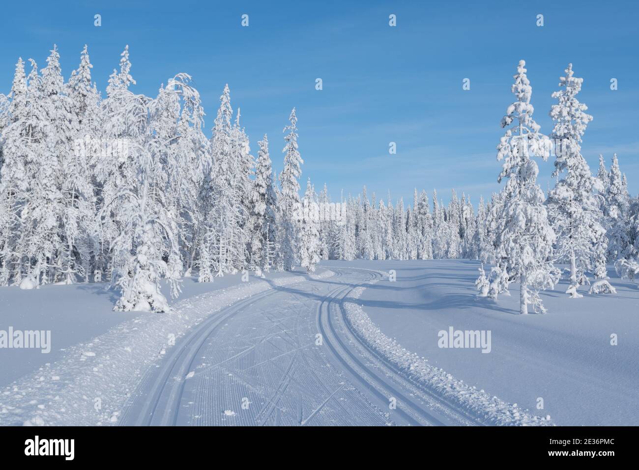 Skiing track in Finnish Lapland Stock Photo