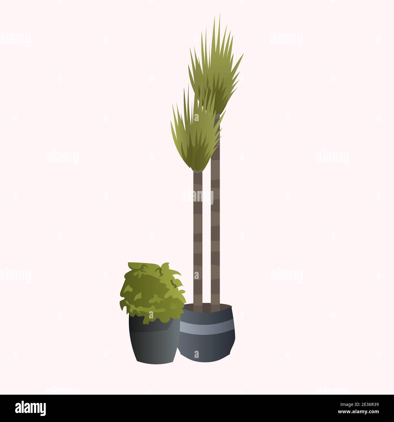 potted plant isolated on white background vector illustration Stock ...