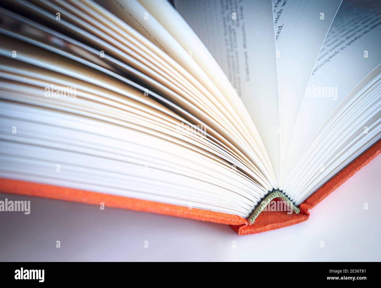 Shallow focus against open book. Direct focus on spine of book and unfocused pages works like copy space Stock Photo
