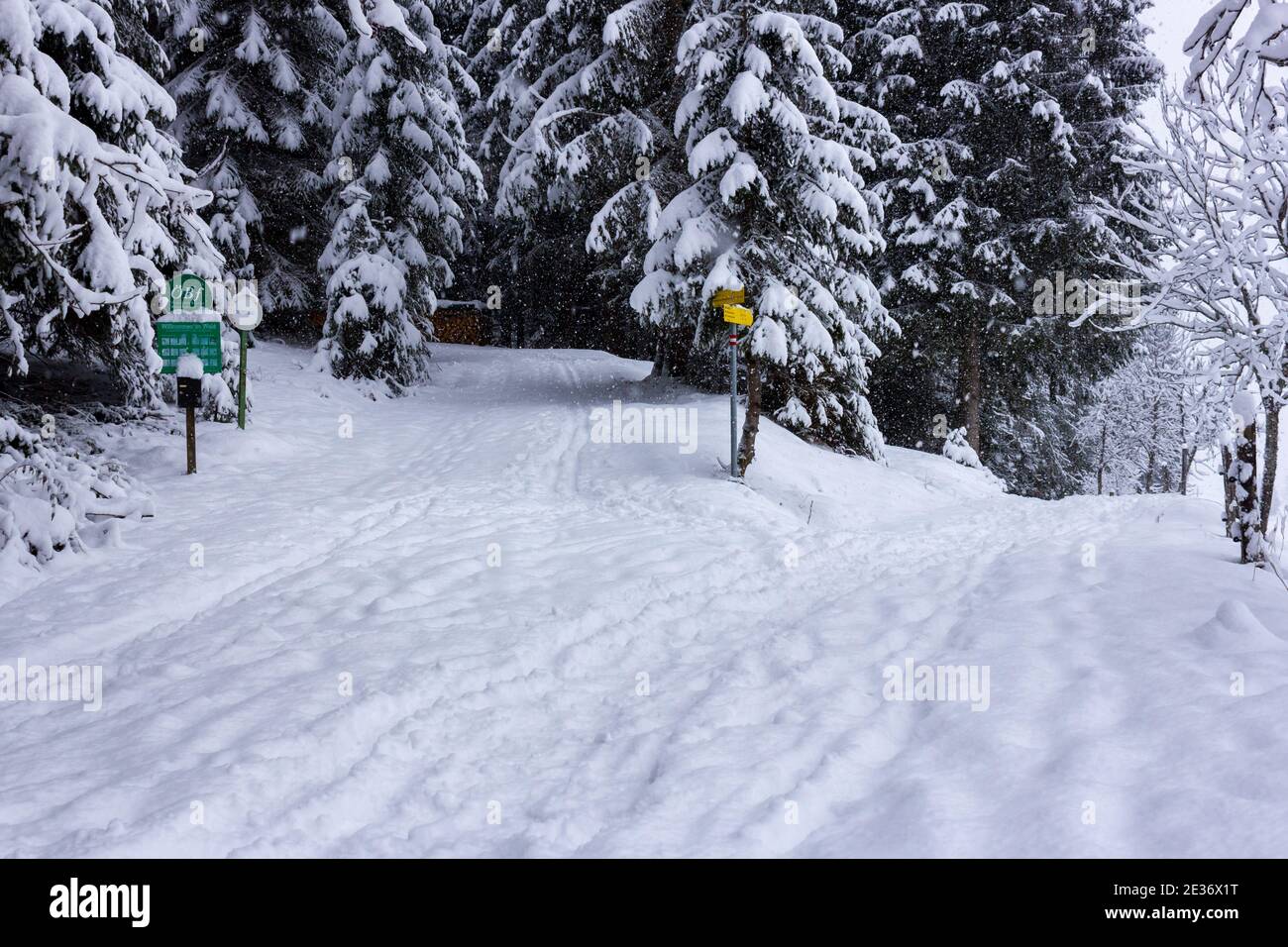 Filzmoos, Salzburg county, Austria - January 13 2016: Beautiful winter landscape in the Austrian alps with snowfall Stock Photo