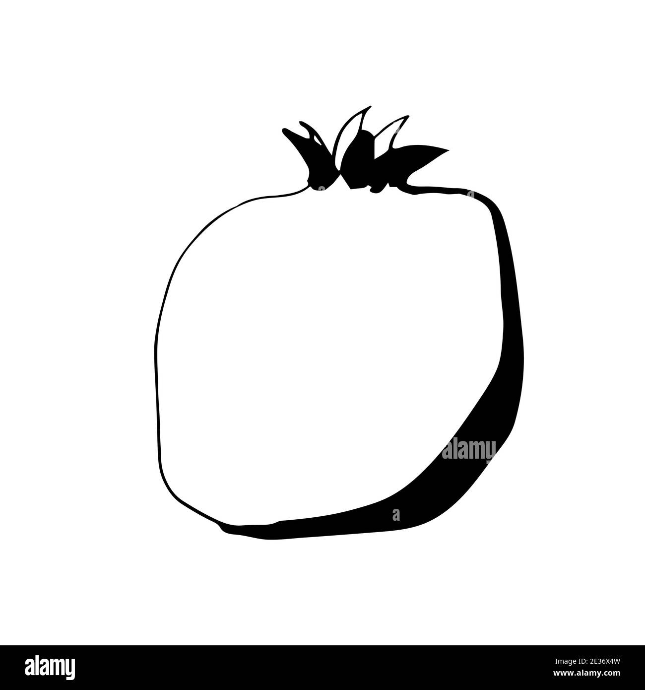 Pomegranate illustration in line art isolated on white Stock Vector