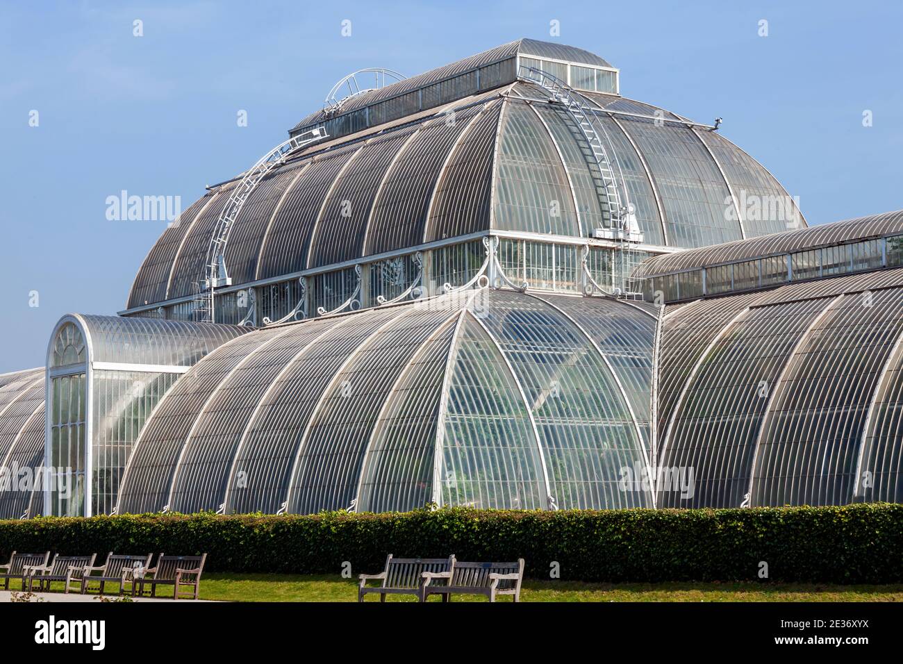 The Great Palm House at Kew Gardens in London England UK a Victorian