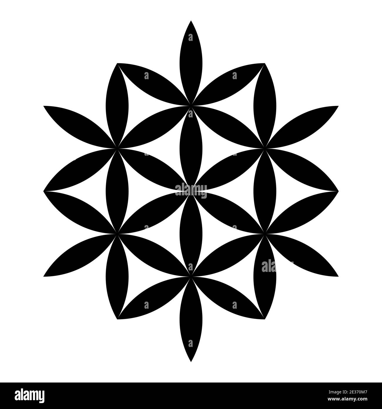 Seven stars, made from vesica piscis lens shapes. Six flower-like stars, with interlocking petals, make a seventh star. Derived from Flower of Life. Stock Photo