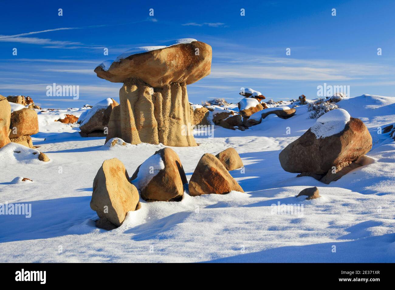 Bisti Badlands, monolith and rock column formed from clay and sandstone