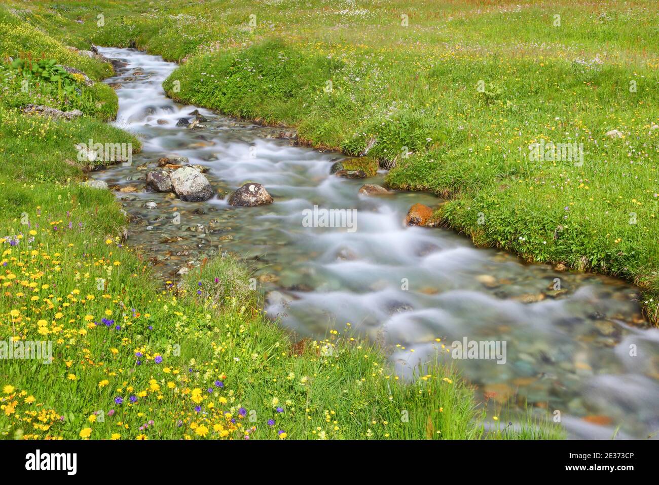 Stream in Buedner Alps, Grisons, Switzerland Stock Photo