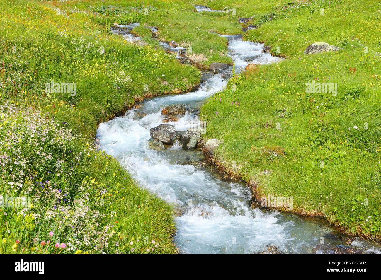 Stream in Buedner Alps, Grisons, Switzerland Stock Photo