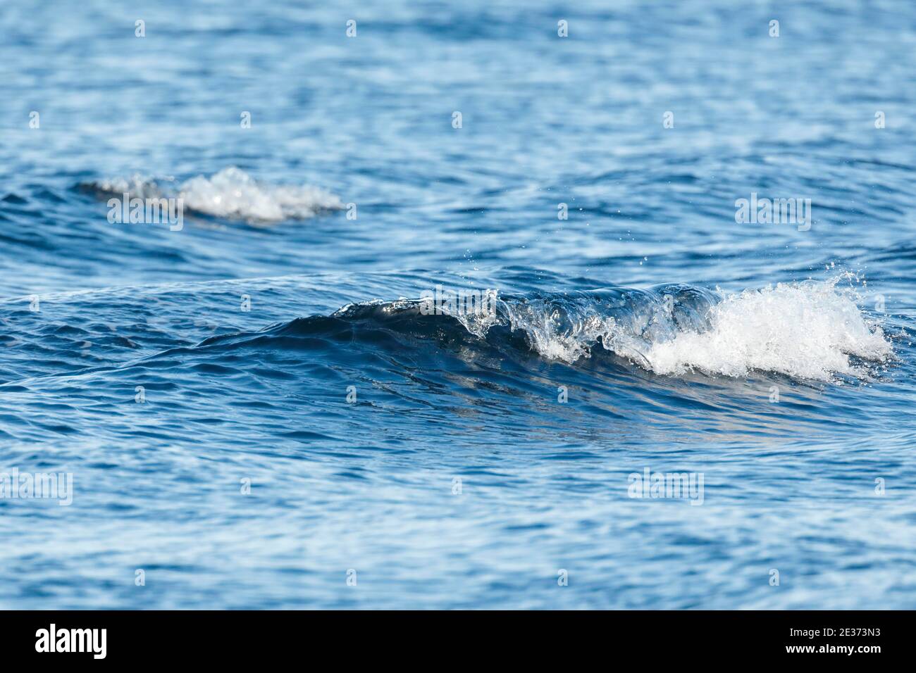Swell up hi-res stock photography and images - Alamy