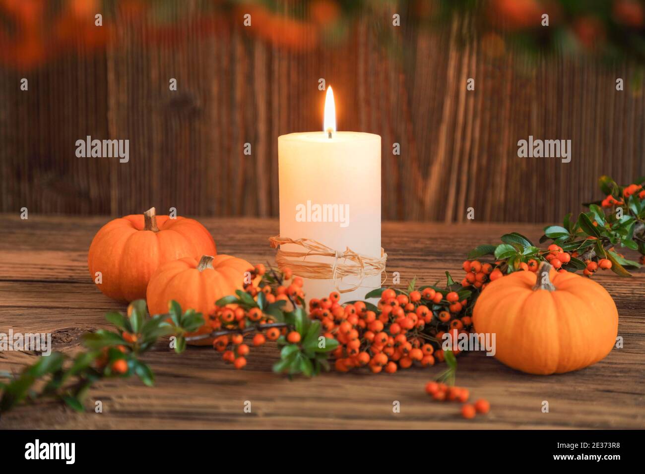 Autumn decoration, Switzerland Stock Photo