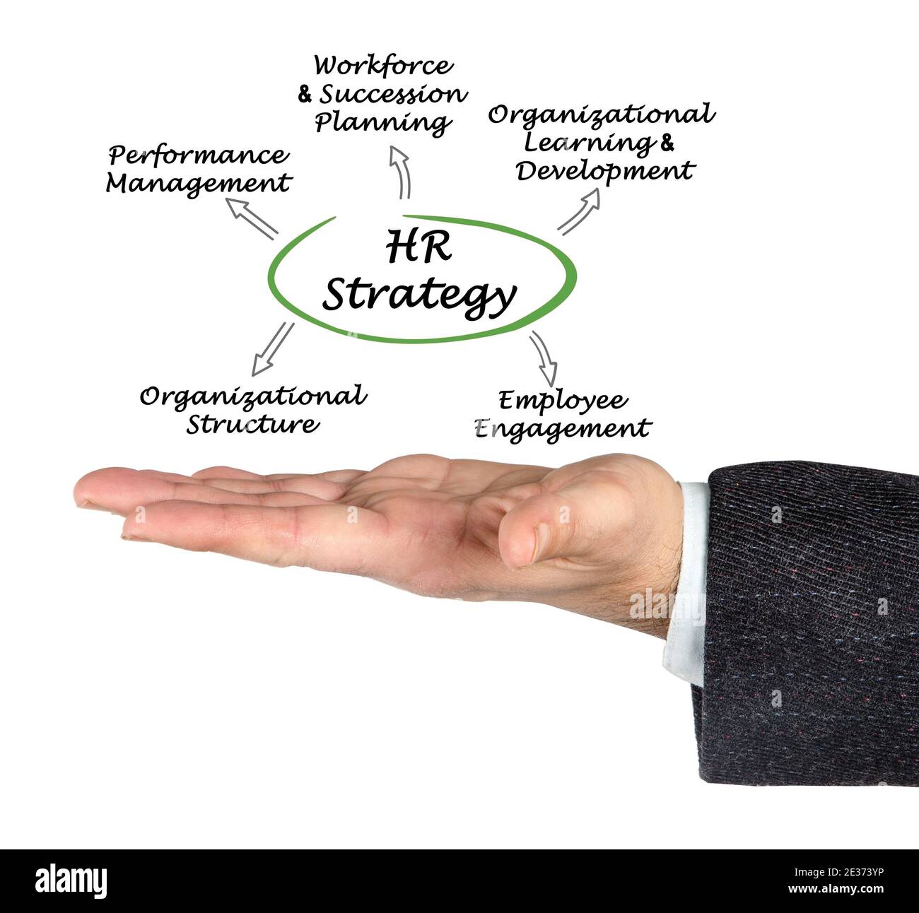 Five applications of HR management Stock Photo Alamy