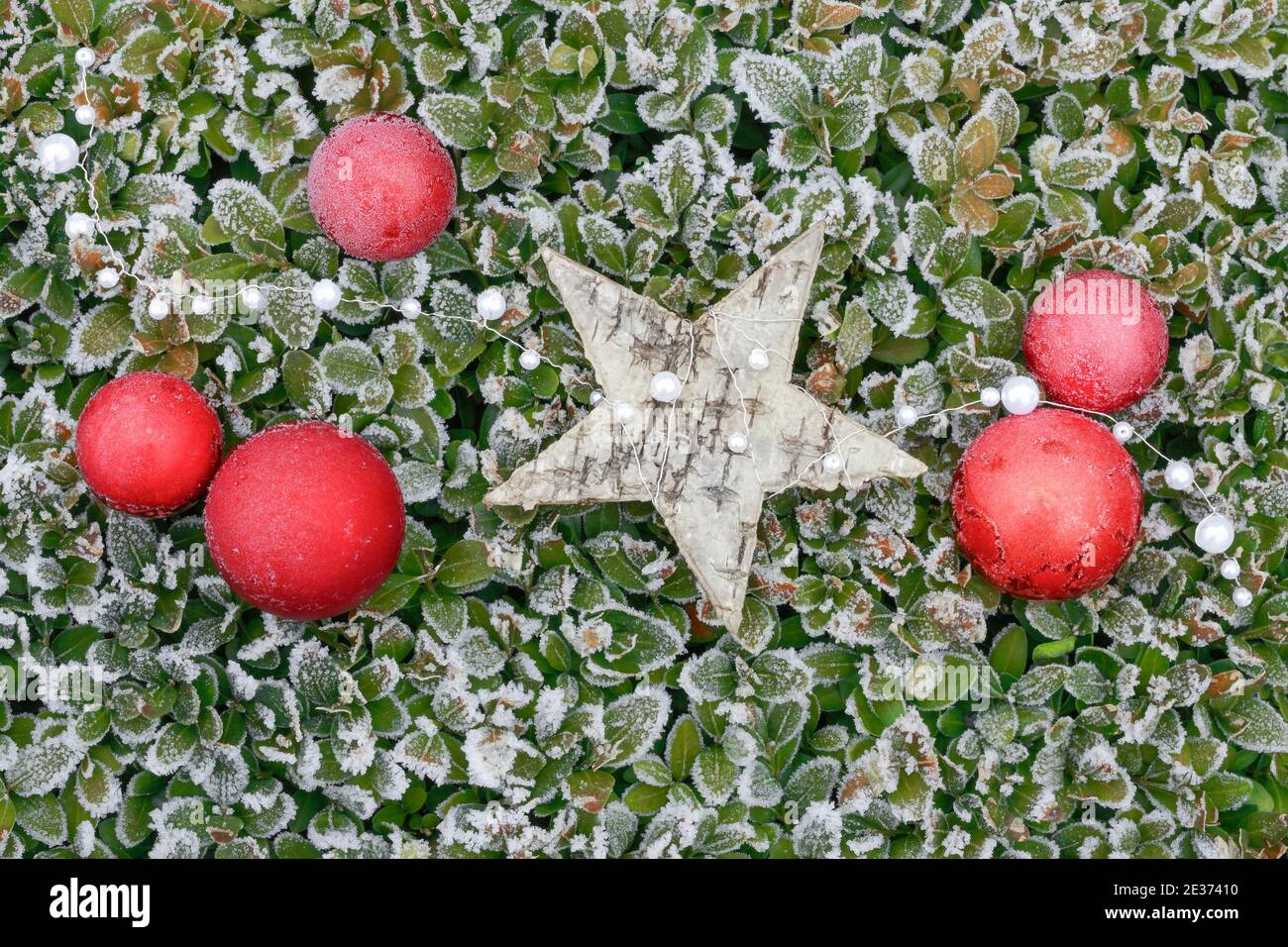 Natural outdoor Christmas decoration Stock Photo - Alamy