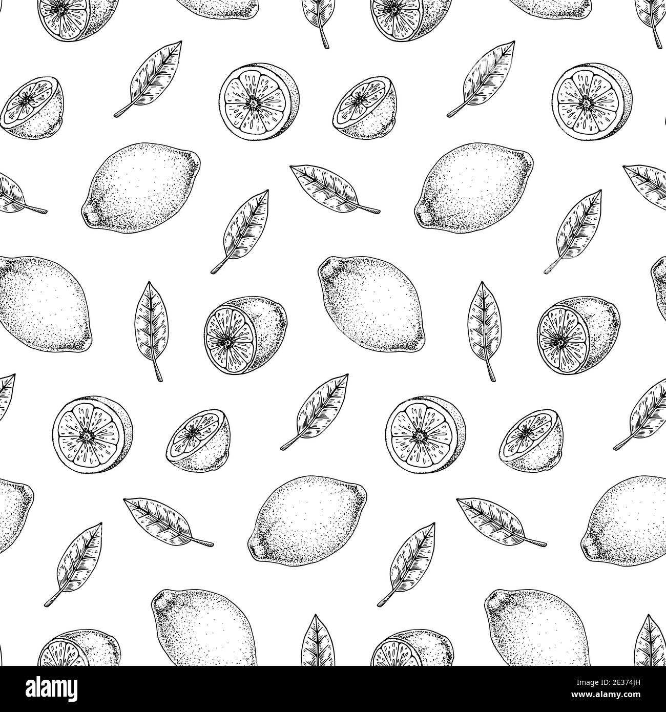 Hand drawn seamless pattern with lemon fruit and leaves. Vector ...