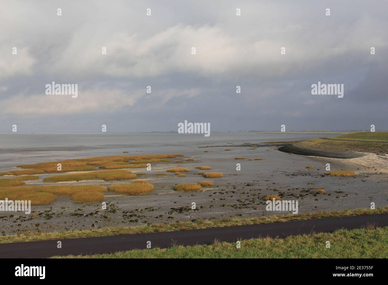 A Beautiful Coastal Landscape With A Colorful Salt Marsh With Mud And a-beautiful-coastal-landscape-with-a-colorful-salt-marsh-with-mud-and