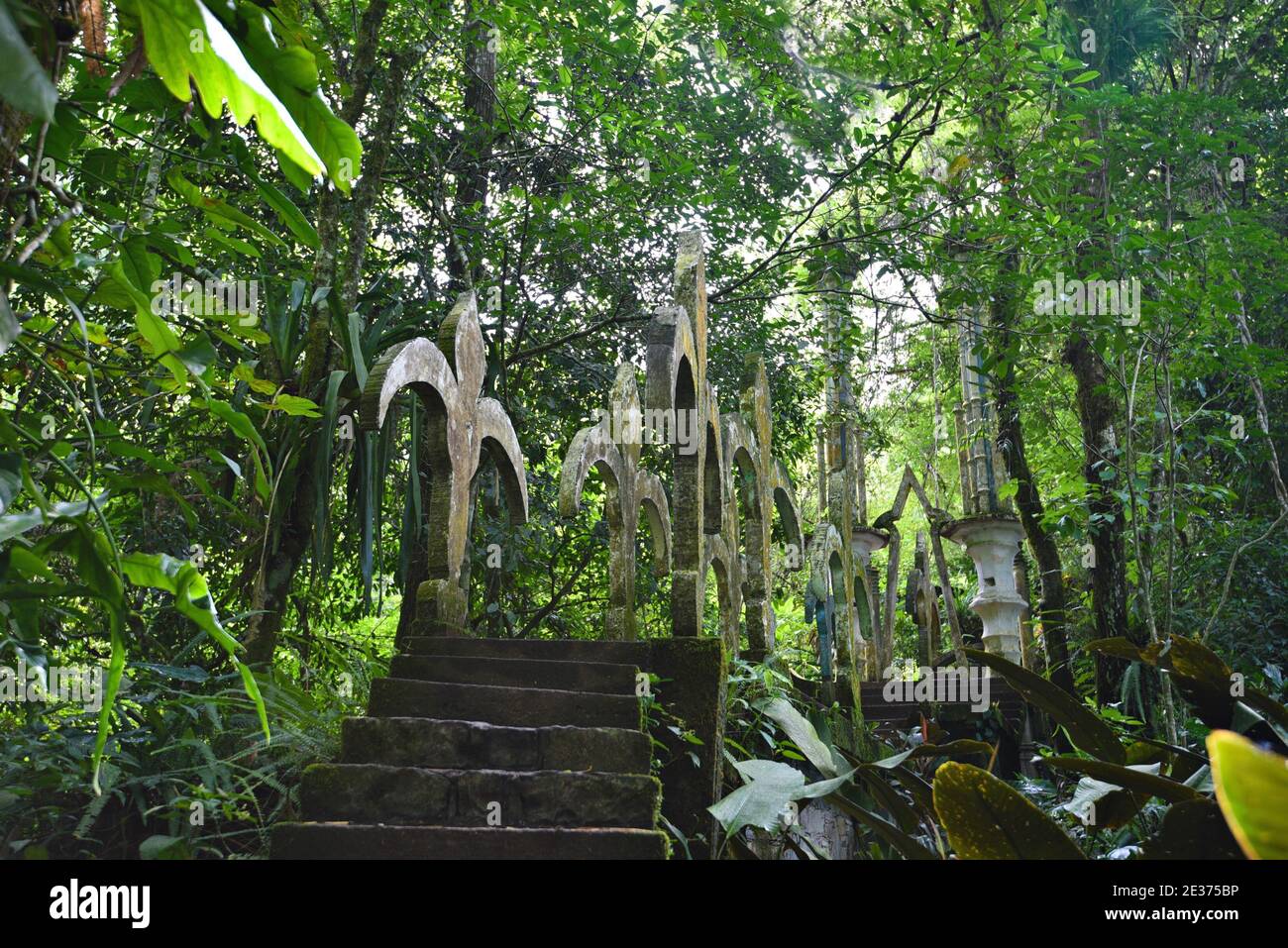 Panoramic view of the Pools, Las Pozas a surrealistic garden (Jardín surrealista) in the subtropical rain forest of the Sierra Madre mountains, Mexico. Stock Photo