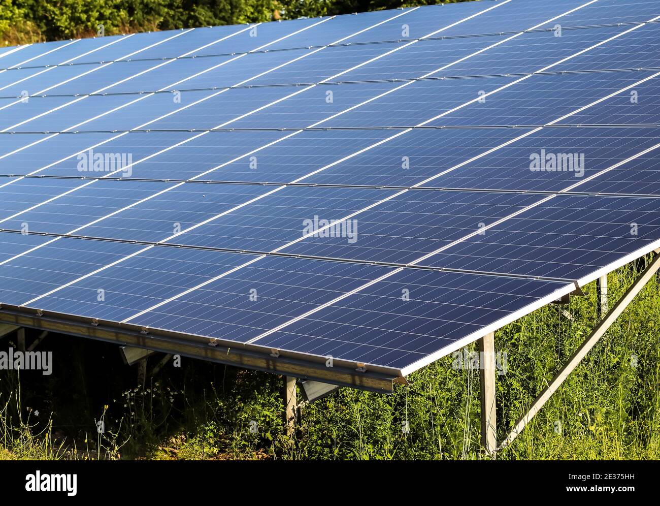 A Shot Of Solar Modules Generating Clean Energy In A Big Park In Northern Europe Stock Photo Alamy A Shot Of Solar Modules Generating Clean Energy In A Big Park In Northern Europe Stock Photo Alamy
