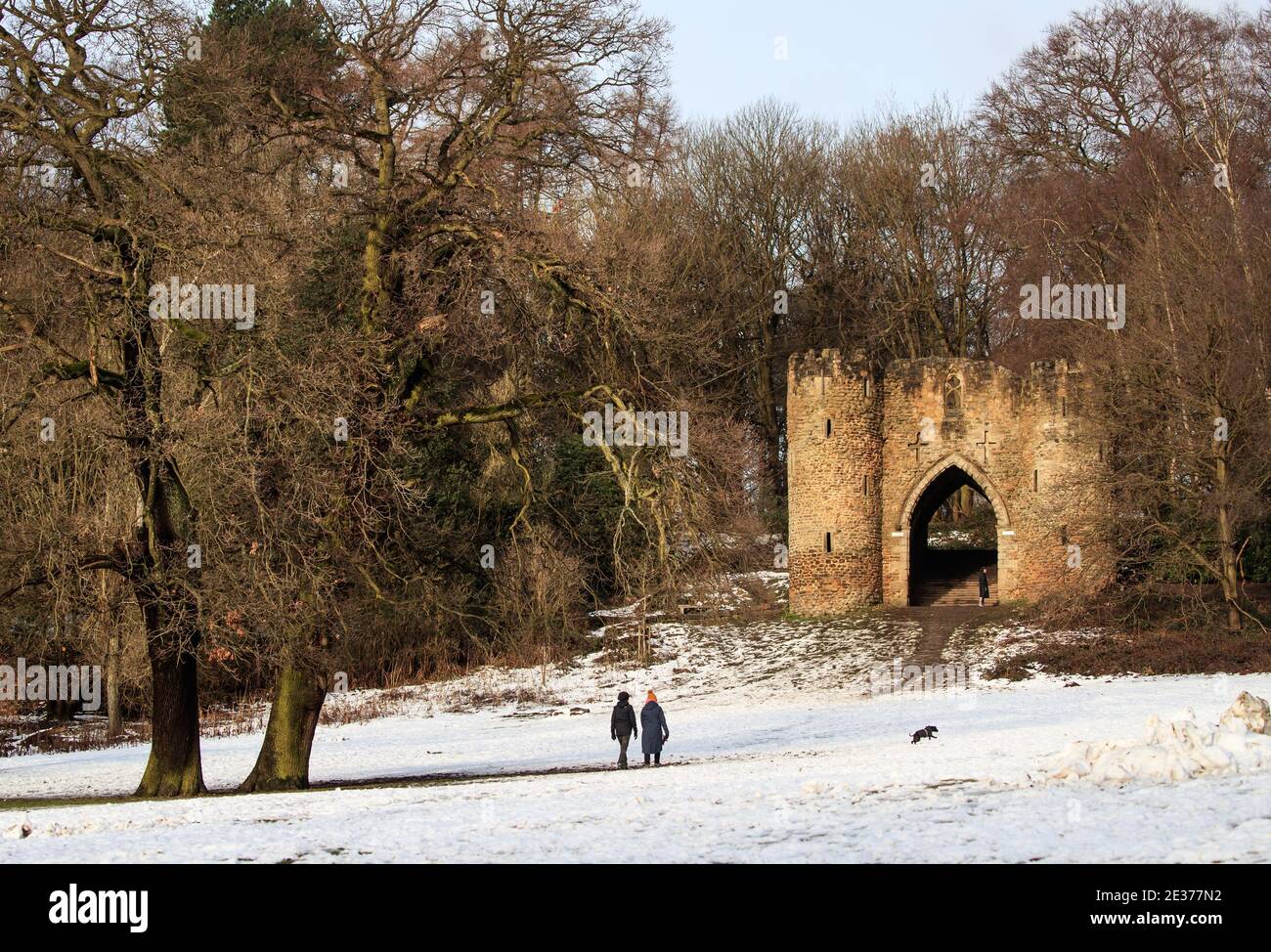 People walk a dog in Roundhay Park, Leeds, Yorkshire Stock Photo Alamy