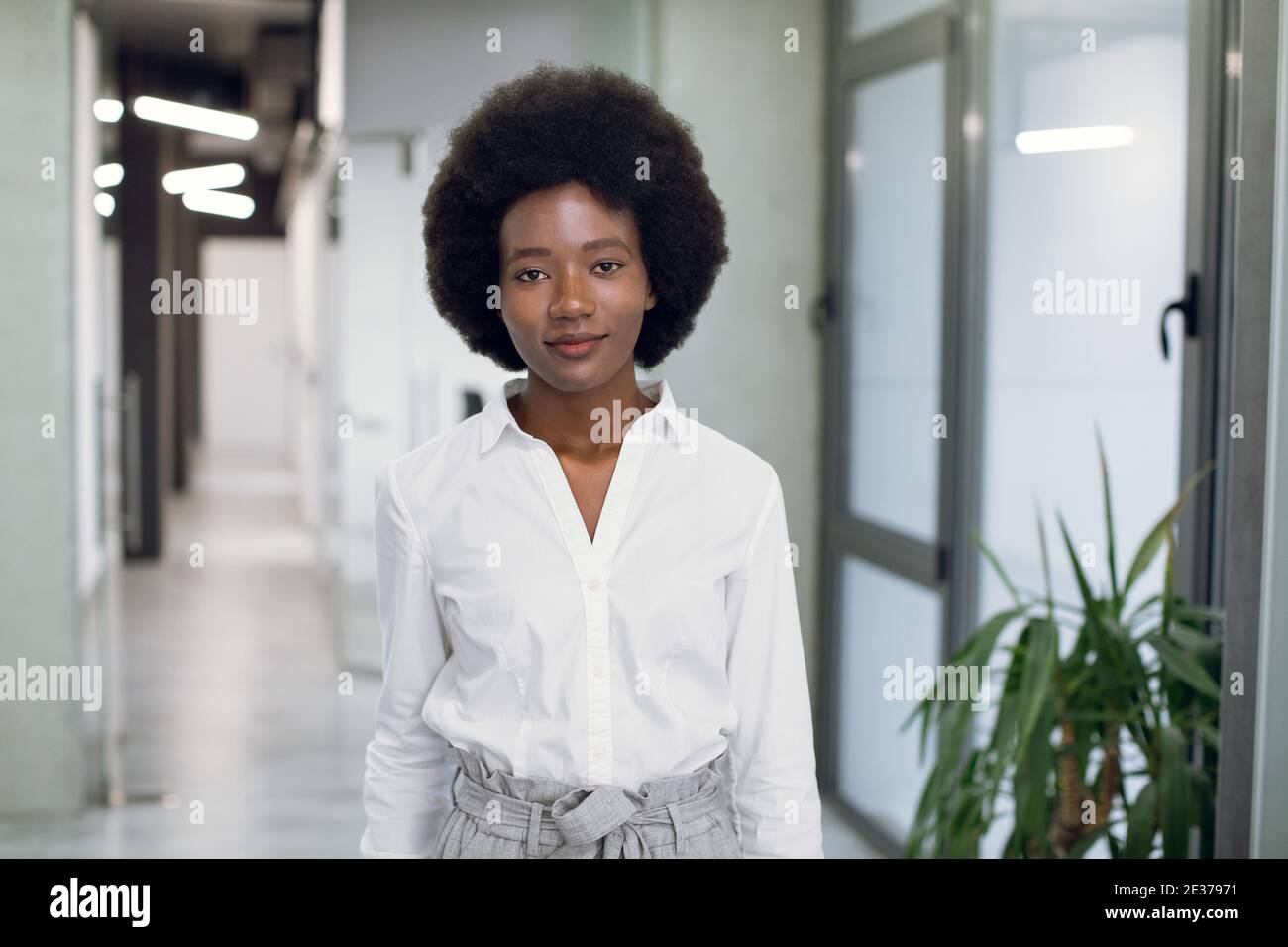 Half Length Portrait Of Charming Young Purposeful African Businesswoman With Afro Hair Wearing White Shirt And Gray Pants Posing To Camera Indoors Stock Photo Alamy