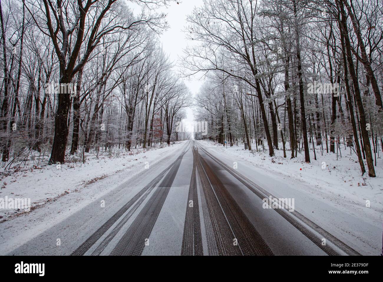 Frost and snow covered road running through a Wausau, Wisconsin forest ...