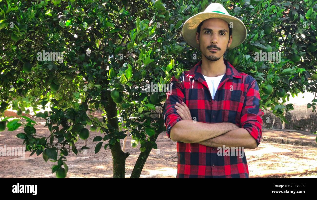 Farmer or worker with hat looking for camera in front of orange tree. Organic Plantation Concept Image. Stock Photo