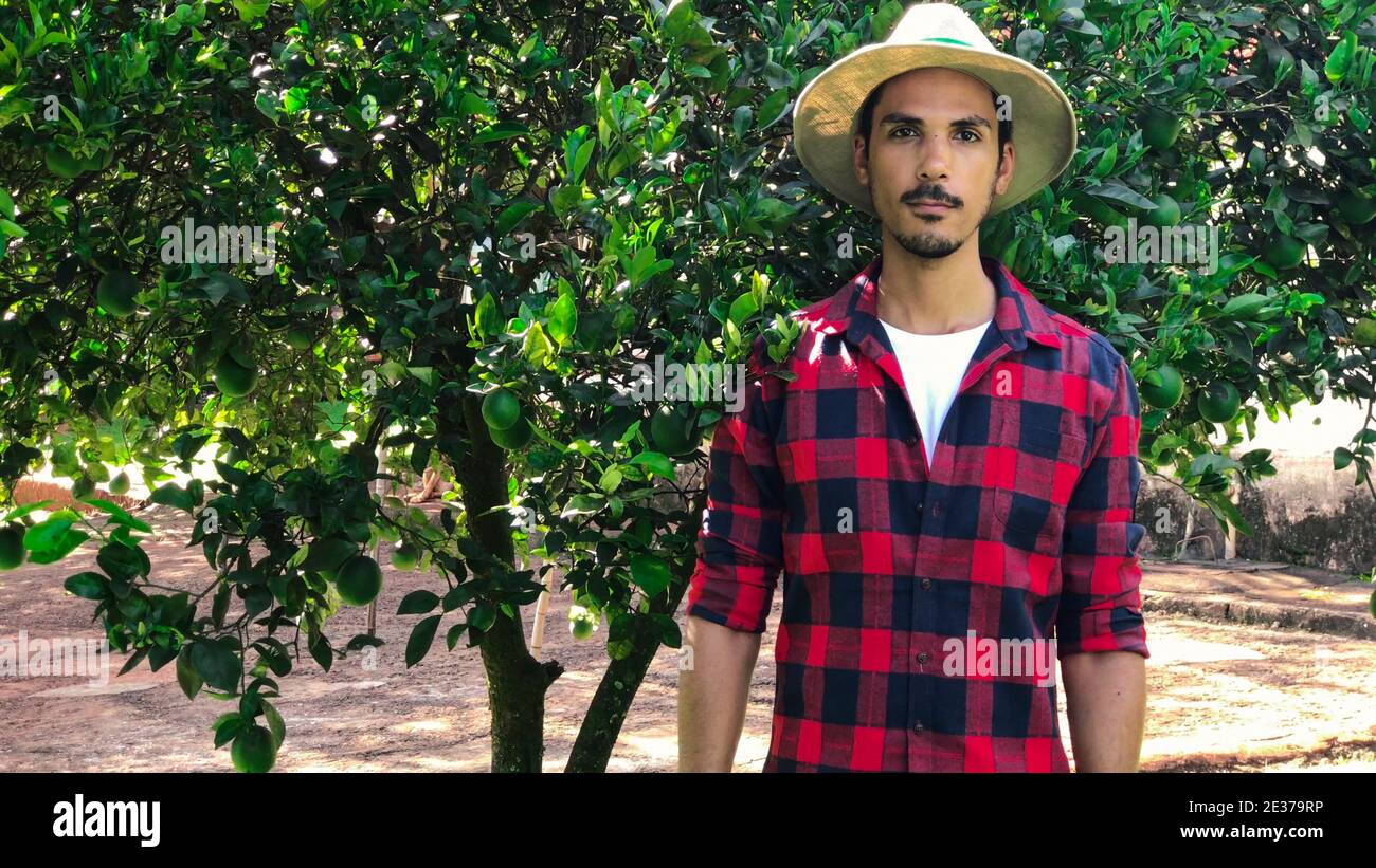 Farmer or worker with hat looking for camera in front of orange tree. Organic Plantation Concept Image. Stock Photo