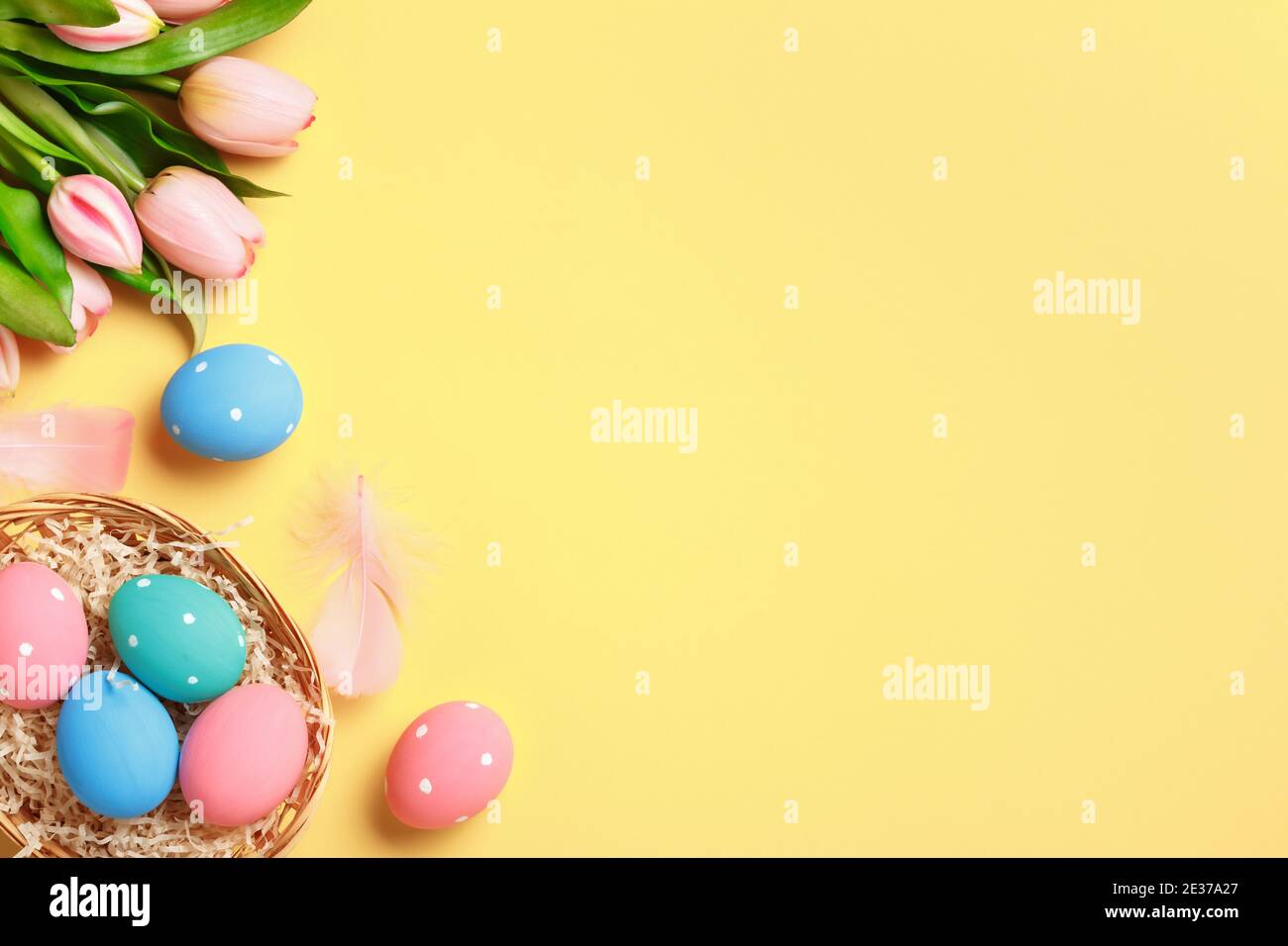 Easter greeting card with copy space. Multi-colored eggs in a basket, pink tulips on a yellow background. Stock Photo