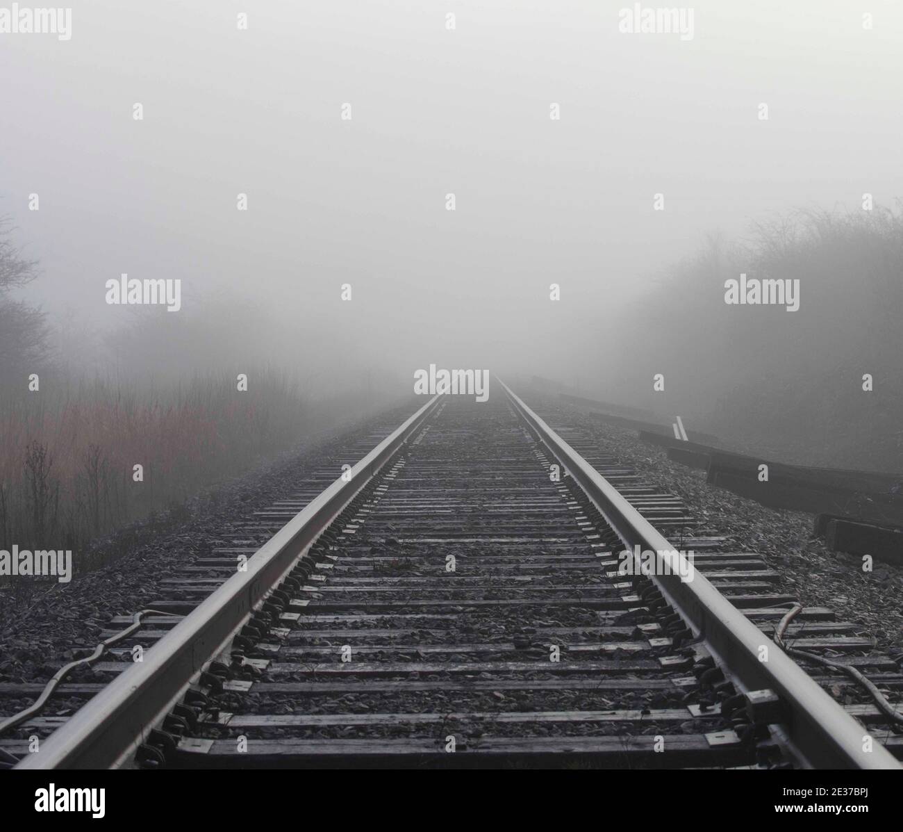 Rail tracks in the fog Stock Photo